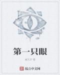 第一只眼 pdf