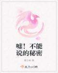 不能说的秘密 the swan