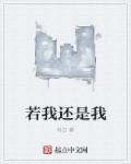 若我是什么意思