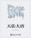 天佑大唐电视剧叫什么名字