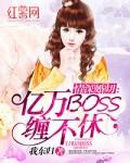 情深婚切亿万BOSS缠不休在线听