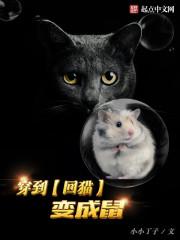 穿越成猫变成鼠