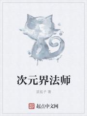 全职法师之绝对次元