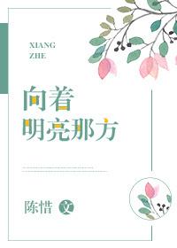 向着明亮那方好词50个