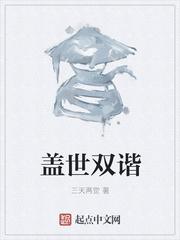 盖世双谐怎么样