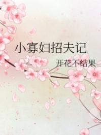 小寡妇招夫记逆天邪神网