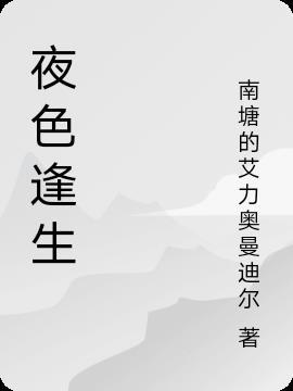 夜色是什么意思