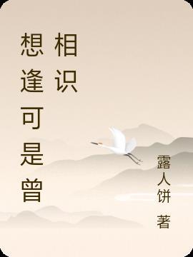 相逢恰如曾相识