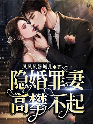 隐婚罪妻完整版