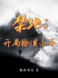 禁地扮演小哥的系统