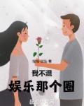 我不混饭圈