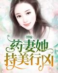 替嫁美人 作者绿药