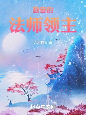 奇幻世界的法师领主