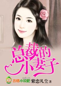 总裁的小妻子很撩人漫画