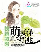 暖婚蜜爱盛宠小甜妻免费阅读全文