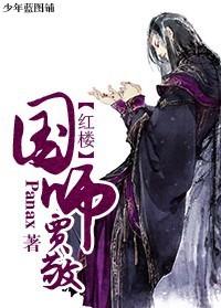 红楼国师贾敬29章